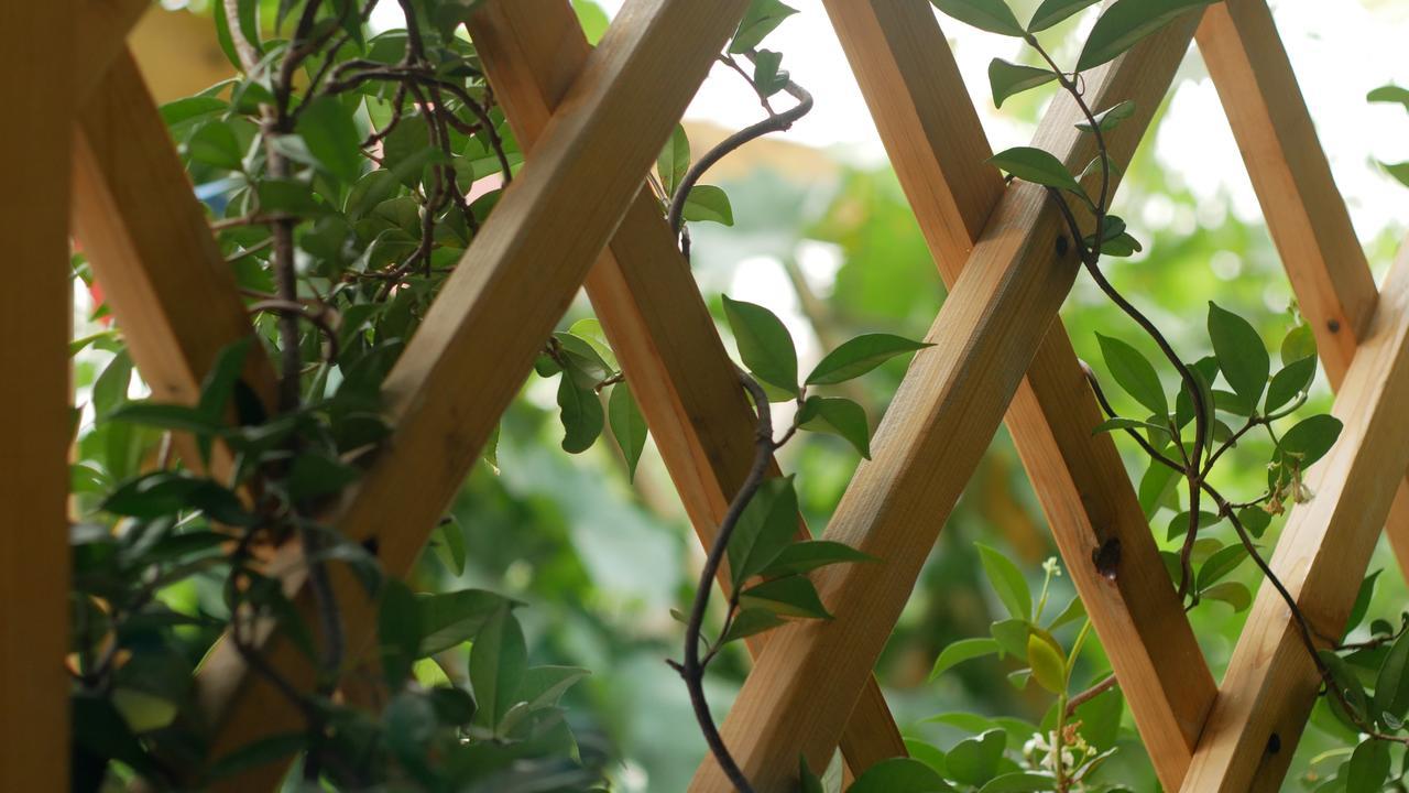 My Garden Hotel Tbilisi Ngoại thất bức ảnh