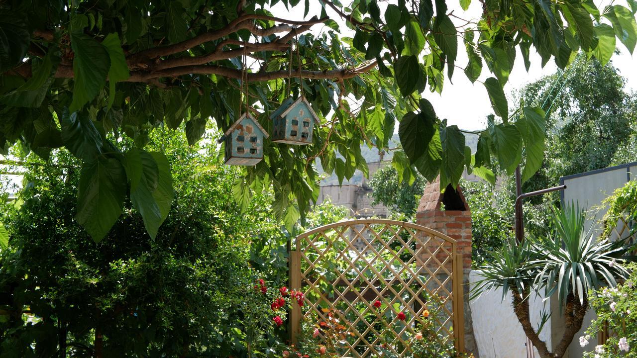 My Garden Hotel Tbilisi Ngoại thất bức ảnh