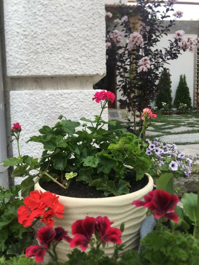 My Garden Hotel Tbilisi Ngoại thất bức ảnh