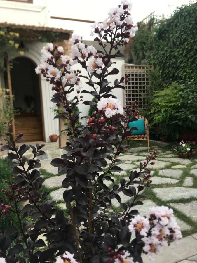 My Garden Hotel Tbilisi Ngoại thất bức ảnh